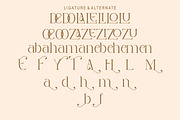 Marlia, a Serif Font by Kenrichi (Thumbnail 10 of 12)