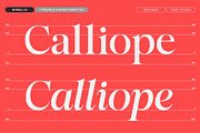 Romellis – Editorial Serif Typeface, a Serif Font by Zane Studio (Thumbnail 5 of 15)