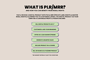 Canva Training + Etsy Course MRR, a Marketing Template by Design By Hira (Thumbnail 6 of 9)
