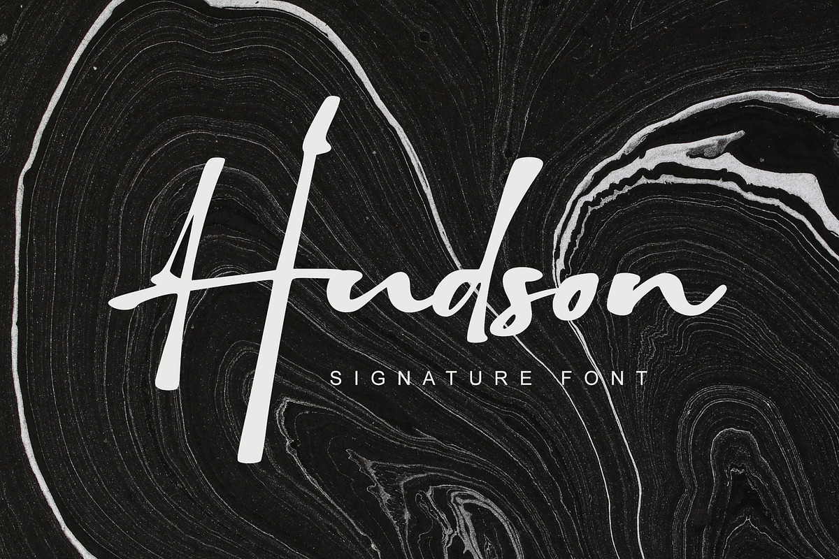 Hudson, a Script Font by alphArtype (Photo 1 of 9)