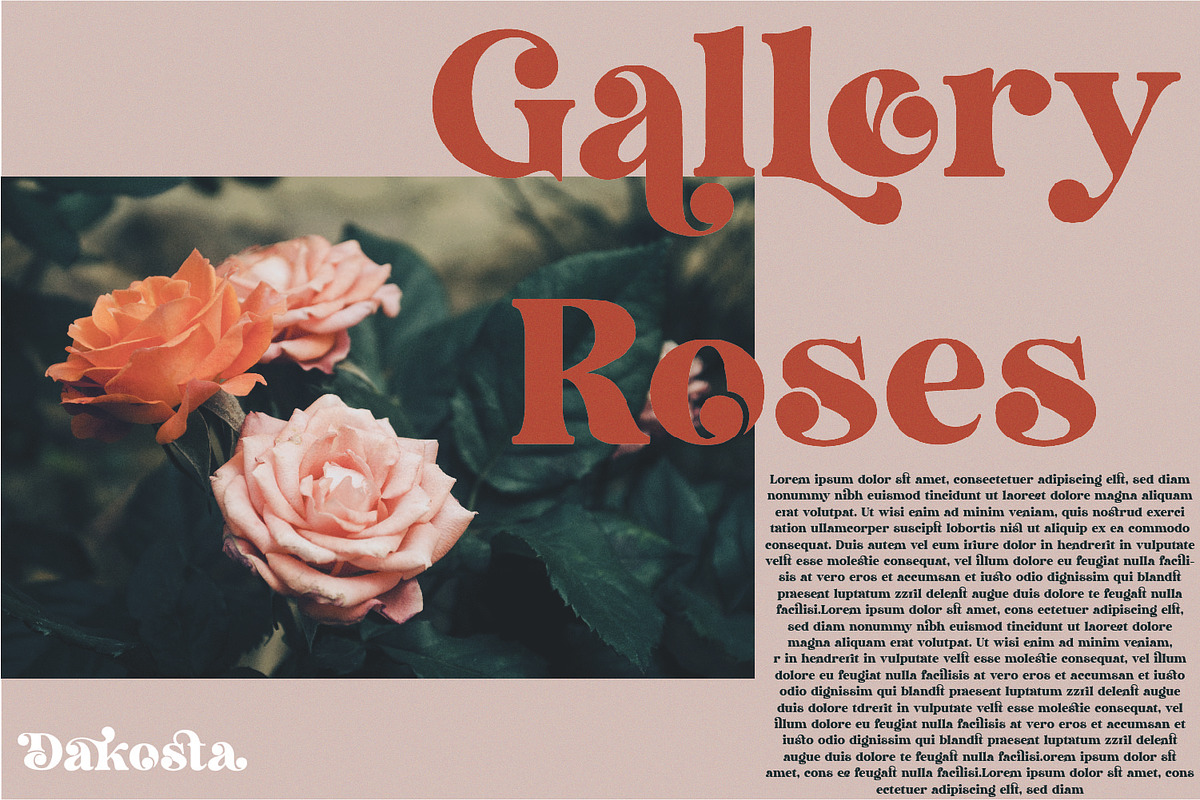Dakosta | Retro Serif Typeface, a Serif Font by MchCrafter (Photo 7 of 15)