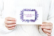 Lavender flowers watercolor, clipart, a Food Illustration by Hanna Hryharenka (Thumbnail 14 of 17)