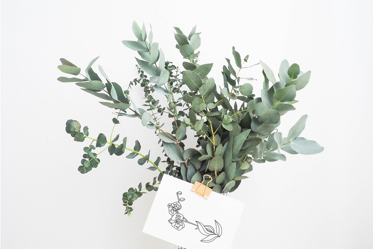 Inked Orchid Illustration Collection, an Illustration by Hannah Eliza Studio (Photo 4 of 4)