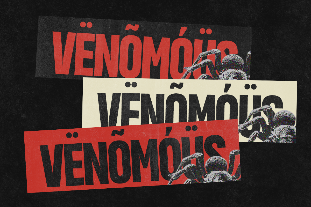 GC Vank - Strong Bold Condensed, a Sans Serif Font by Glyphonic (Photo 3 of 15)