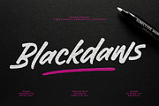 Blackdaws - Rough Handwritten Font, a Handwritten Font by Subectype Studio (Thumbnail 1 of 12)