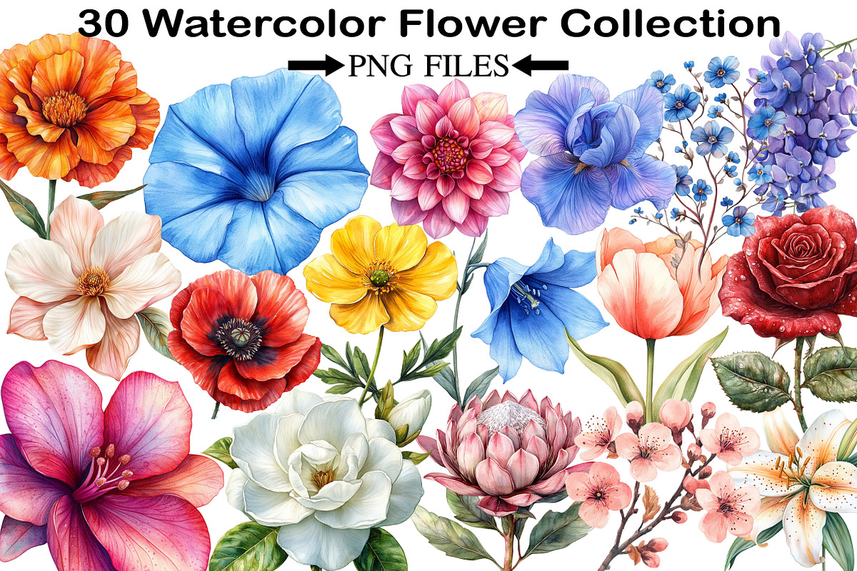 Watercolor Flower Collection Clipart, an Illustration by Black Bird Studio (Photo 1 of 5)