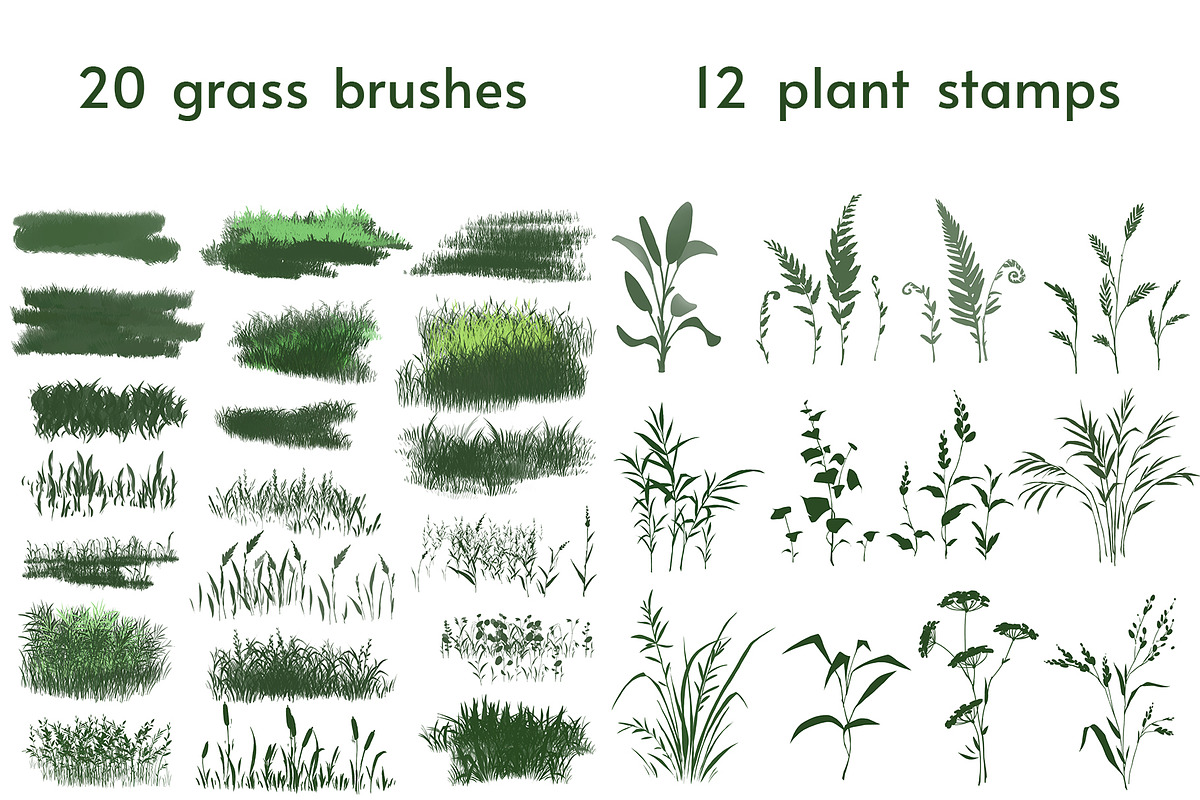 Grass brushes for PHOTOSHOP, a Brush Add-On by Dashamoony (Photo 2 of 2)