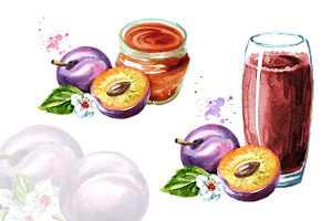 Plum. Watercolor Collection