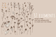 Wild Herbs, an Illustration by julianaapina (Thumbnail 3 of 7)