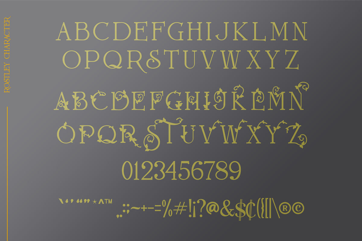 Rostley, a Serif Font by blunesia (Photo 2 of 6)