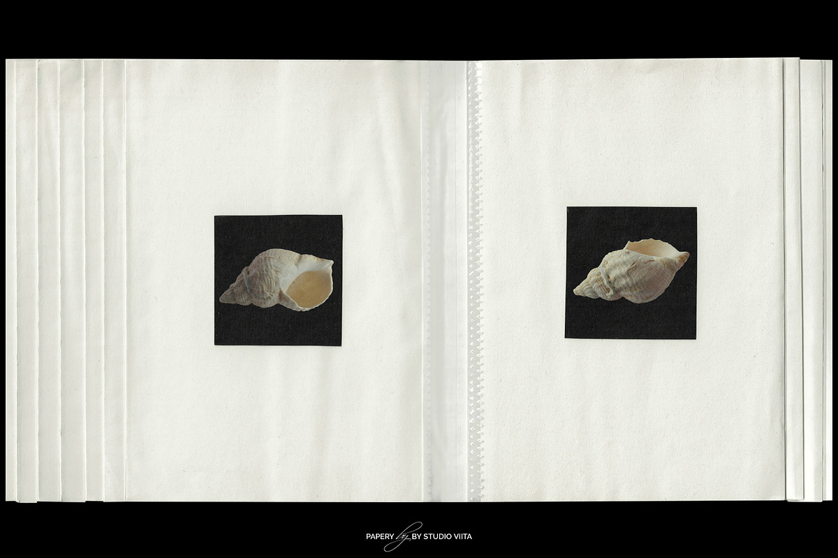 Flip Album Plastic Pocket Mockups, a Books & Magazine Mockup by Studio Viita (Photo 7 of 11)
