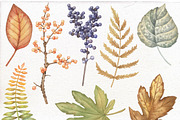 Thanksgiving watercolor Bundle., an Illustration by Mary (Thumbnail 2 of 9)