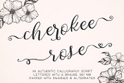 Cherokee Rose Calligraphy Font, a Script Font by Beck McCormick (Thumbnail 9 of 9)