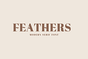 Feathers - serif font, a Serif Font by Sk designs (Thumbnail 1 of 10)