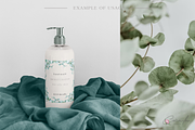 EUCALYPTUS WATERCOLOR COLLECTION, an Illustration by CaraulanStore (Thumbnail 8 of 11)