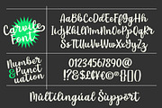 Carvile - Rounded Calligraphy Font, a Script Font by HRDR (Thumbnail 9 of 10)