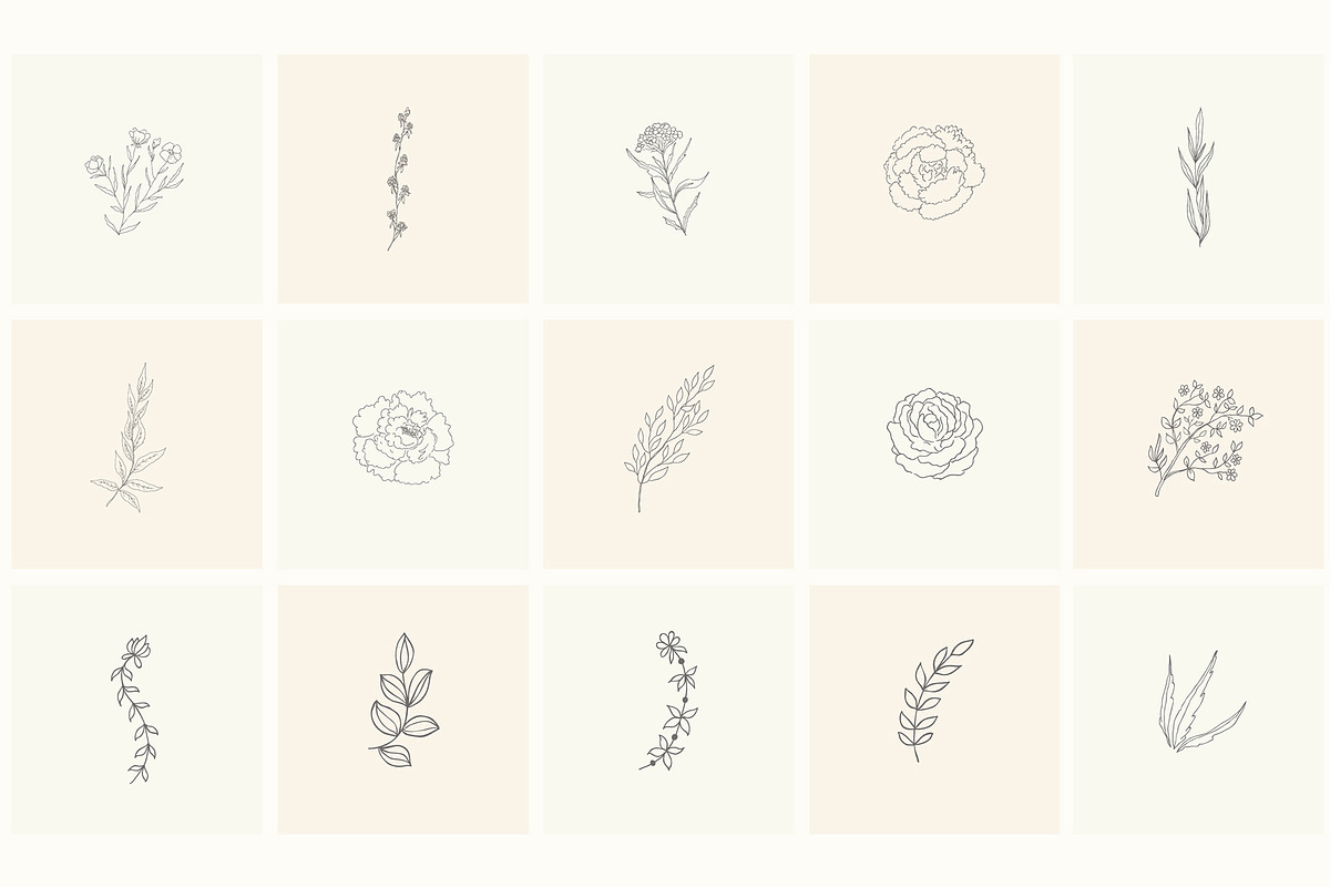 Hand Drawn Floral Elements. Frames, a Seasonal Illustration by Designwork (Photo 8 of 22)