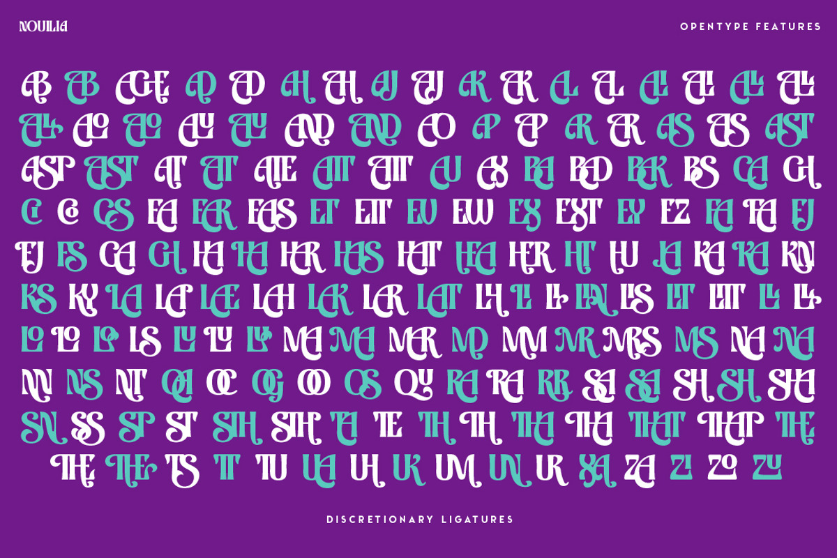 Nouilia, a Sans Serif Font by Typogama (Photo 10 of 16)