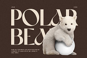 Marlon Elegant Serif Font Typeface, a Serif Font by Perfectype (Thumbnail 6 of 10)