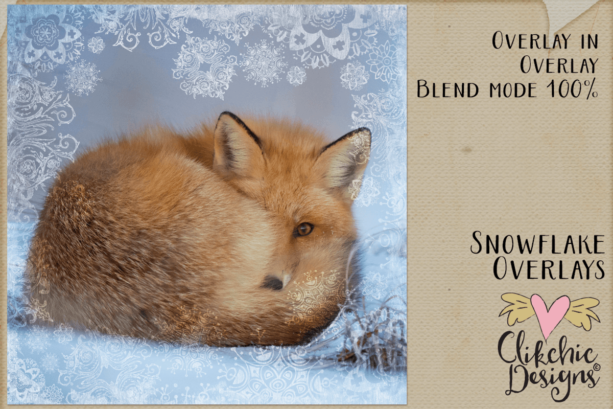 Grungy Textured Snowflake Overlays preview 3