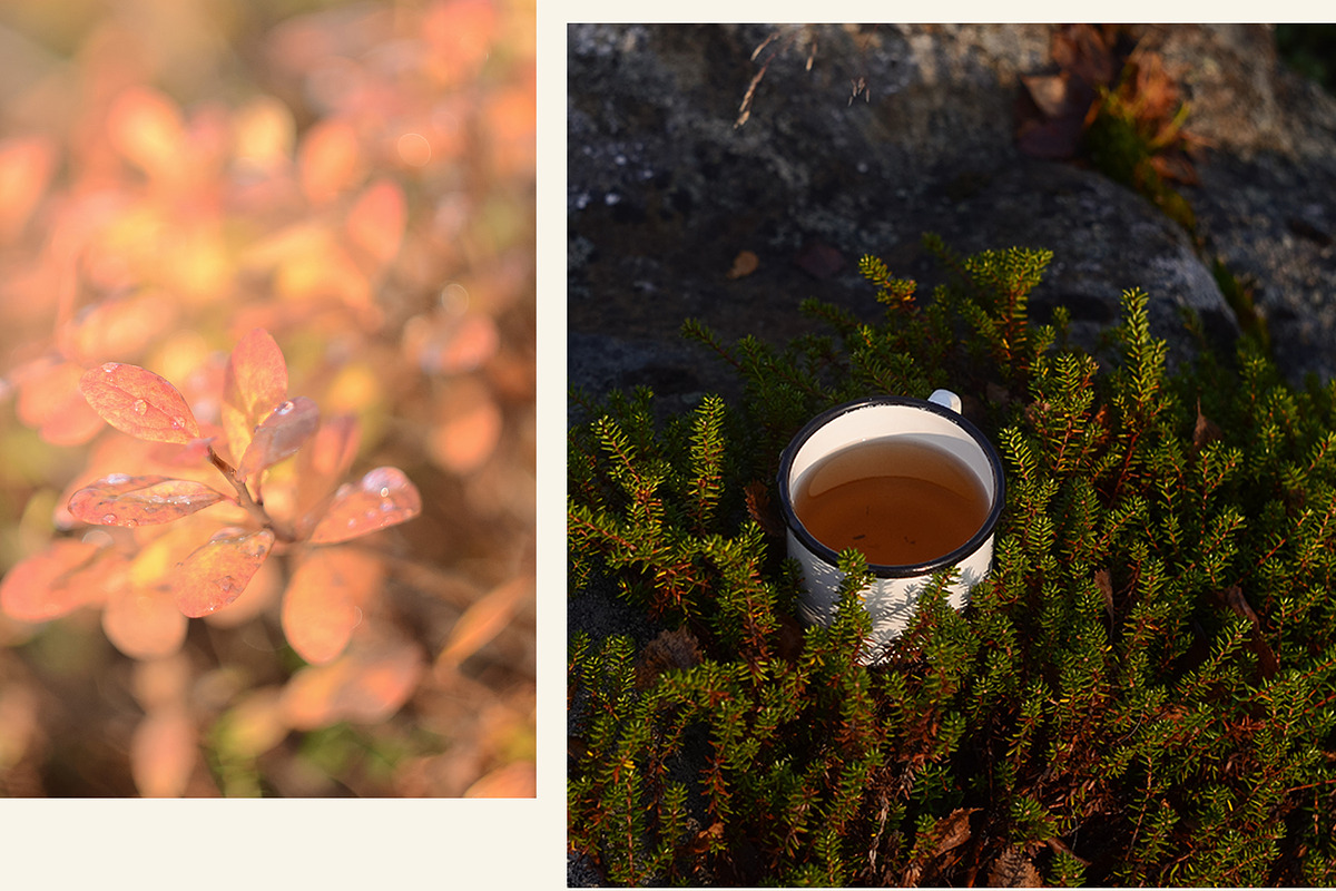 Camping Mug Photo Mockups Set, a Cups & Container Mockup by NataliArkushArt (Photo 7 of 8)