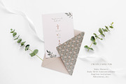 Welcome Baby Graphic Collection, an Animal Illustration by AlekseliArt (Thumbnail 13 of 14)