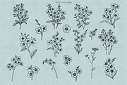 Forget-me-not Procreate Line Art Sta, a Brush Add-On by Dervik Art Store (Thumbnail 3 of 6)