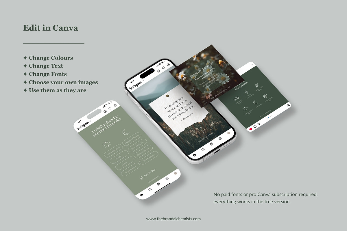 Mother Earth Wellness Template Pack, a Social Media Template by The Brand Alchemists (Photo 11 of 14)
