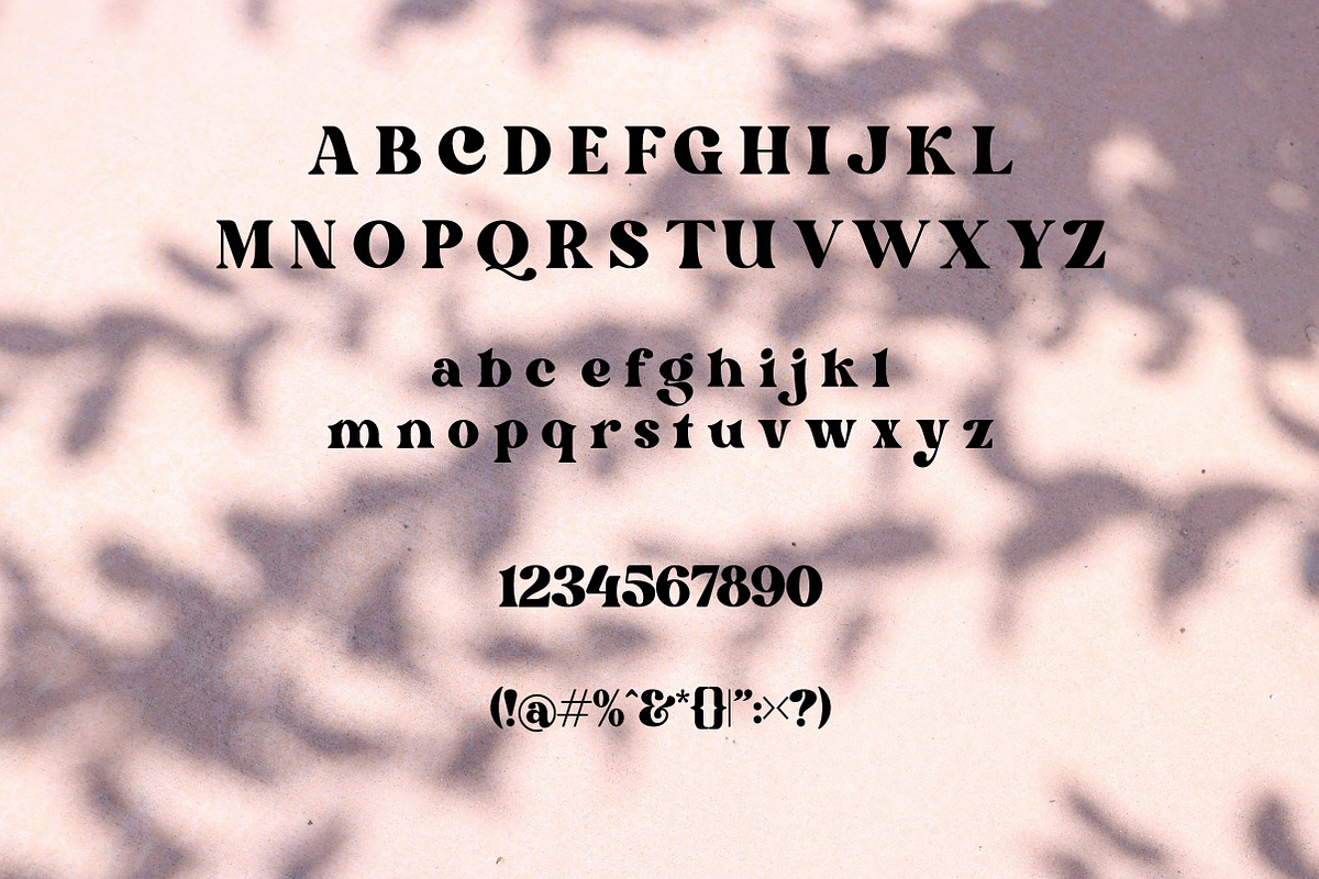 Kandess | Stylish Serif Font Trio, a Serif Font by Artdez (Photo 5 of 5)