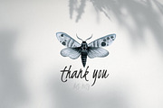 Moths. Watercolor set., an Illustration by Noli Molly Store (Thumbnail 8 of 8)