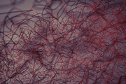 Labyrinth, a 3D by JokerMartini (Thumbnail 4 of 4)