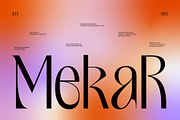 Gage EXO Elegant Display Font, a Sans Serif Font by Casloop Studio (Thumbnail 6 of 9)