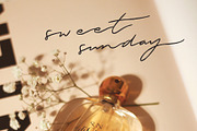 Brittany | Brush Display Font, a Handwritten Font by Monterey Studio (Thumbnail 4 of 8)