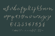 WindeRums - Rustic Floral Script, a Script Font by HypeWorksCo (Thumbnail 15 of 15)