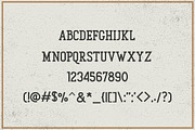 Gunberg Slab Serif, a Slab Serif Font by Vultype Co. (Thumbnail 11 of 11)
