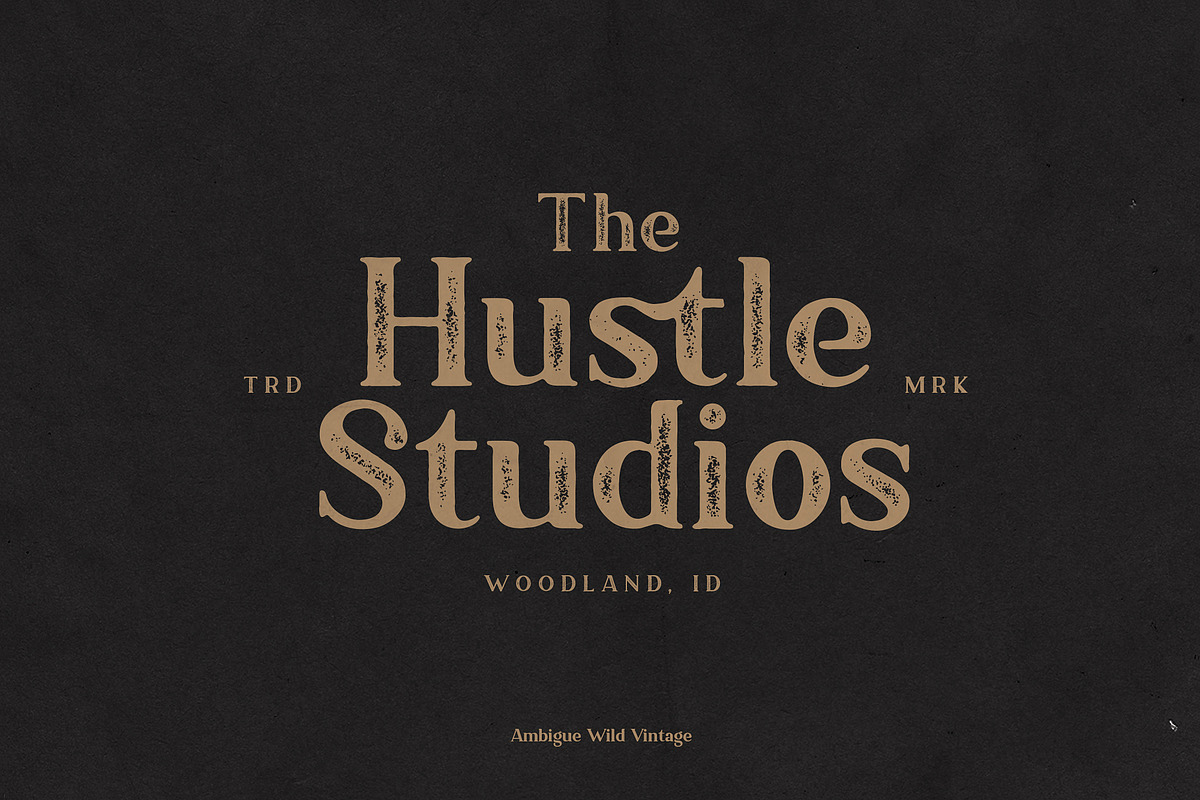 Ambigue Wild Modern x Vintage Serif, a Serif Font by Wandery Supply (Photo 19 of 22)
