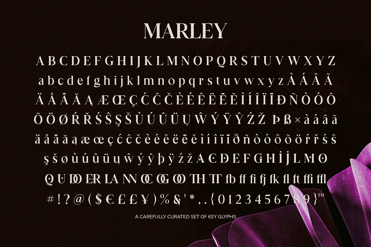 Marley Scoot – Modern Serif Typeface, a Serif Font by Negara Studio (Photo 14 of 14)