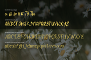Daisyes | Hand Drawn Dual Font, a Handwritten Font by Denustudios (Thumbnail 14 of 14)
