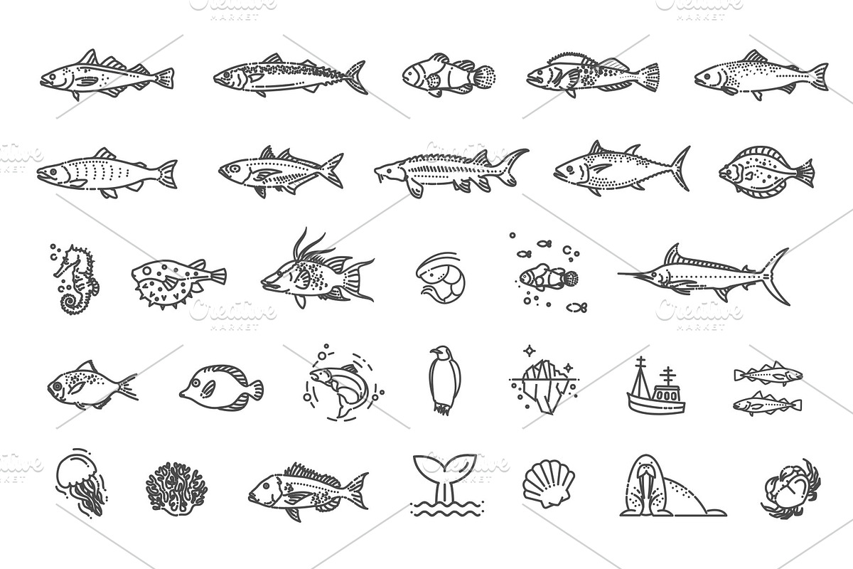 Ocean Life. Underwater Fauna Icons, an Animal Illustration by Tettygreen (Photo 2 of 3)