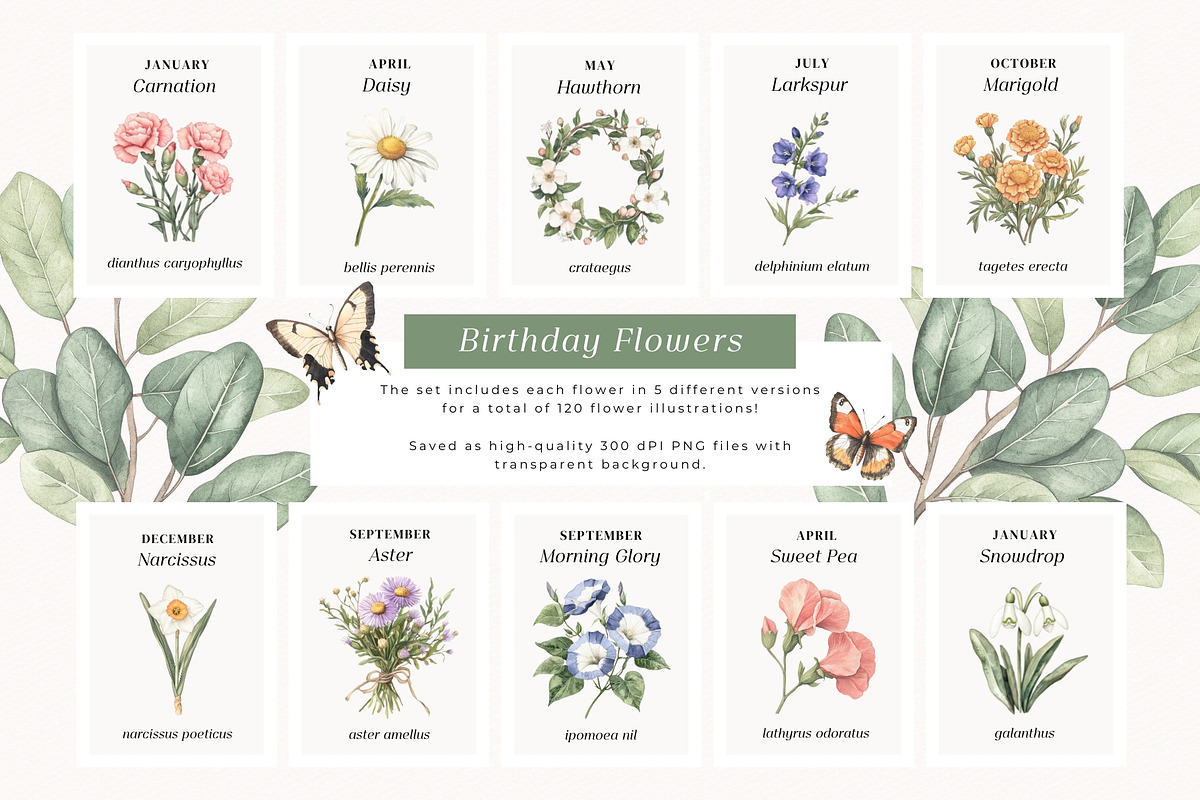 Birthday Flowers, a Decorative Illustration by PeDe Designs (Photo 2 of 10)