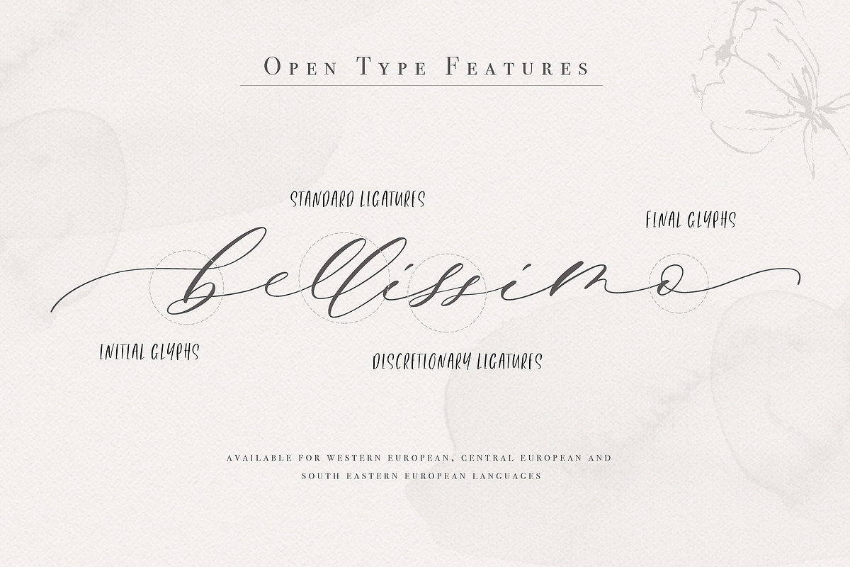 Giselle Script, a Script Font by Calamar Studio (Photo 17 of 19)
