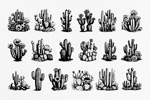 Cactus Hand-Drawn Vintage Set