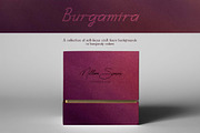 Burgamira Blurry Backgrounds, a Background Graphic by DigARTbyHavroshka (Thumbnail 5 of 10)
