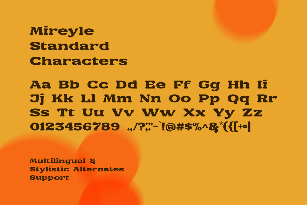 Mireyle Display Font, a Sans Serif Font by Letterhend Studio (Photo 5 of 9)