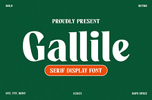 Gallile - Display Serif Font