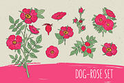 Dog-roses set and seamless pattern, a Decorative Illustration by Good Studio (Thumbnail 1 of 9)