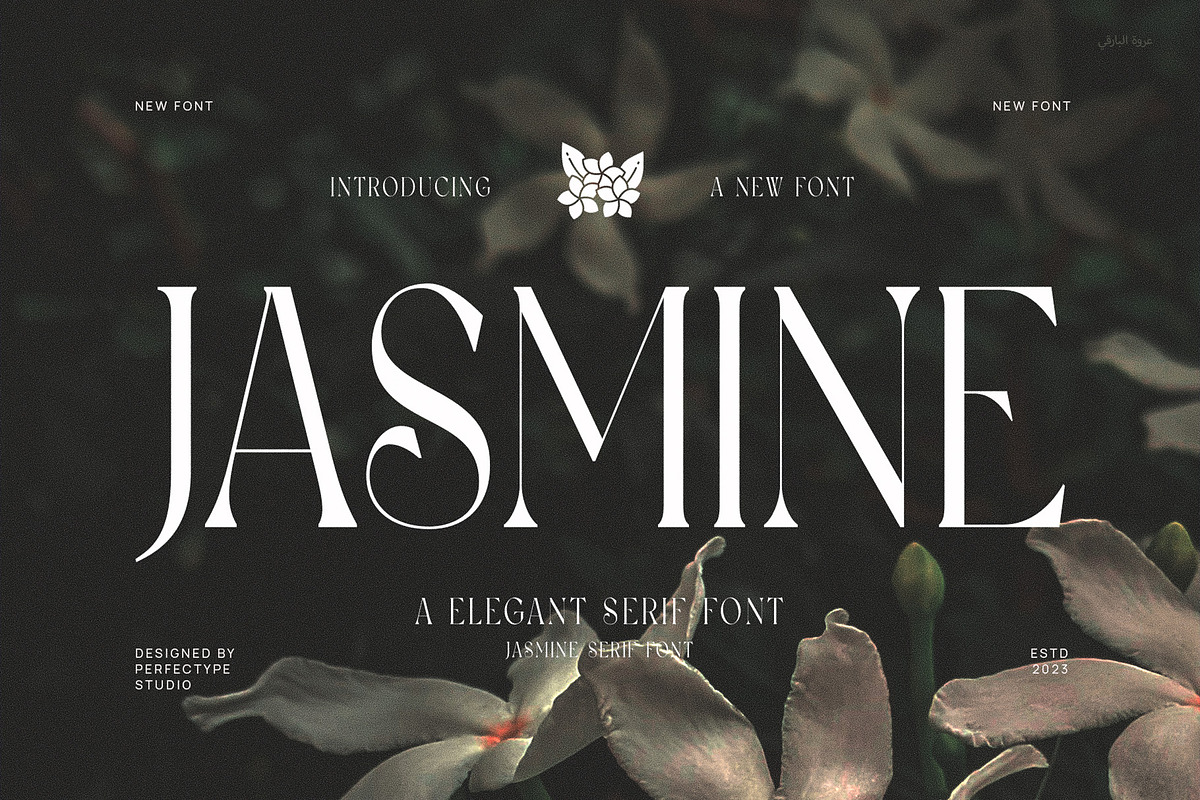 Jasmine Elegant & Minimalist Serif, a Serif Font by Perfectype (Photo 1 of 7)