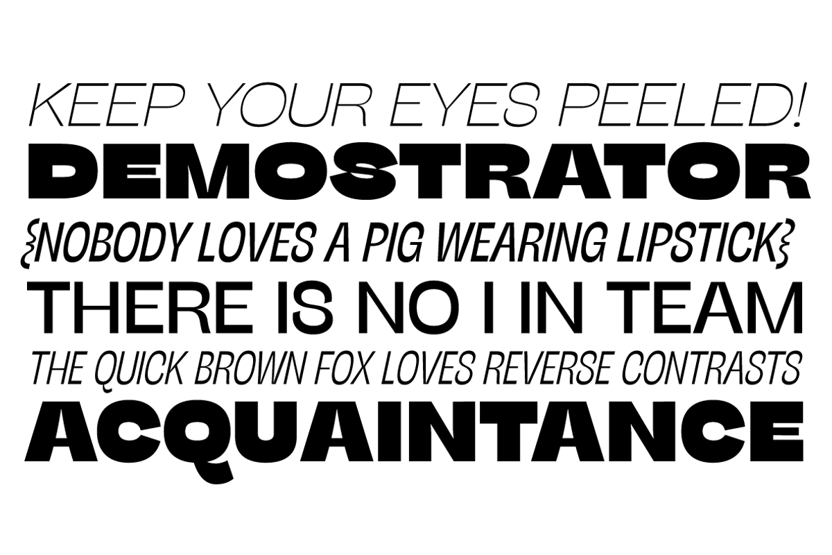Stinger - 42 fonts, a Sans Serif Font by Zetafonts (Photo 10 of 15)