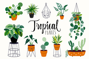 Tropical plants collection