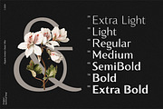 Montier Elegant Display, a Sans Serif Font by Glowtype (Thumbnail 3 of 15)